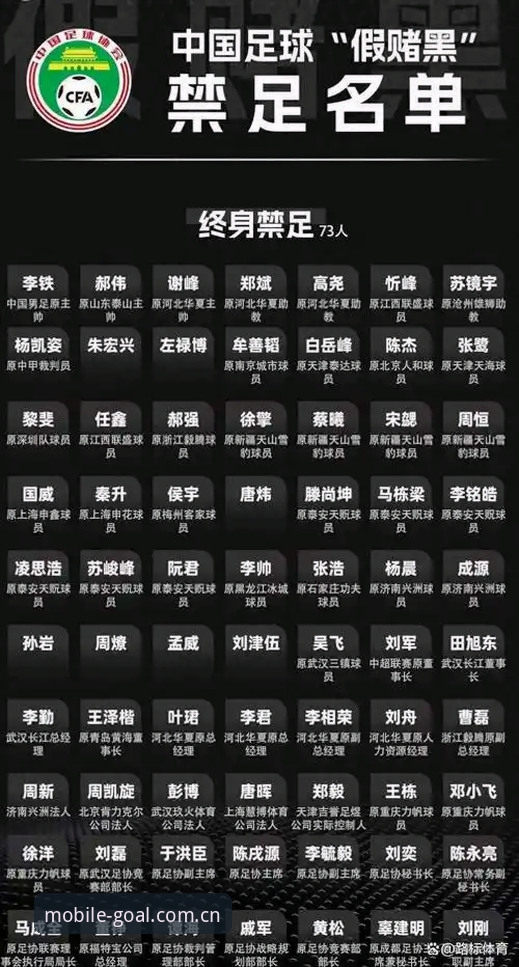 资深用户分享：足协第三批禁足名单深度解读，手机看球必备心得